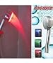 Color Changing LED Shower Head - Temperature Sensitive