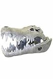 BLUE RIBBON CROCODILE SKULL LARGE