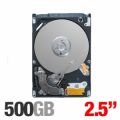 Seagate ST9500420AS