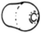 ADC Standard ADSCOPE Eartips, White 602-09 by Adscope