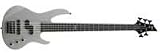ESP LTD B55 5-String Electric Bass (Metallic Silver)