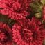 Collections Etc Floral Mums Artificial Maintenance-Free Flower Bush - Set of 3, Red