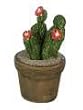 Dollhouse Miniature Dollhouse Potted Cactus in Flower