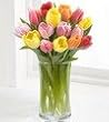 Rush of Color Assorted Tulip Bouquet