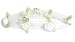 Bra Straps Ivory Rose Buds