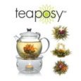 Teaposy Dream Gift Set-Includes (24oz) Daydream Teapot, Light My Fire Warmer and Box of Flowering Blooming Teaposies Tea