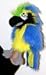 Toys : Hand Puppet Baby Bird Blue And Gold Macaw