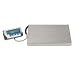 Salter Brecknell LPS-400 Portable Shipping Scale 400 lb x 0 2 lb