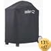 Weber Q 6553 Premium Cover Fits Weber Q 300 Grill