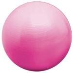 Altus Athletic Anti-burst 65cm Body Toning Ball with Footpump and DVD Workout!