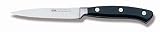 Sanelli 324910 Paring Knife 10 Cm. (4)
