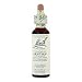 Gentian Flower Essence - 20 ml., (Bach Flower Essence)