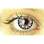Picasso Color Contact Lenses
