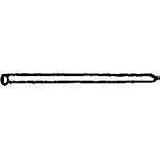 8 Galvanized Gutter Spikes
