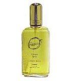 Stetson By Coty For Men. Aftershave Lotion 2.25 Oz