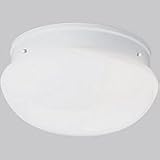 Ceiling Fixtures Progress Lighting P3412