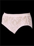 Bali Invisible Elegance Lace Modern Brief Panty