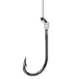Blackfish Snelled 2/0 Hook 12 Fluorocarbon