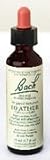 Bach Flower Essence - Heather