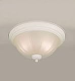 20001-02-03 Forte Lighting