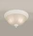 20001-02-03 Forte Lighting