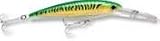 X-Rap Magnum 20 Gold Green Mackerel