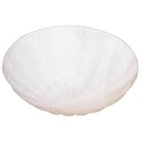 Replacement Glass Shade from Destination Lighting