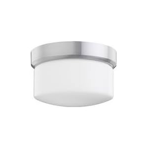 Brushed Aluminum 9 Wide Outdoor Ceiling Light by Kichler