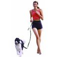 Buy Dogmatic 300 Dogmatic FreeLeash Hands-Free Leash System