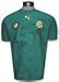 Cameroon '06/07 Home SS Jersey
