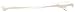 3B Scientific A45/2L Plastic Left Human Ulna Bone Model