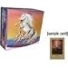 Bella Sara Horses Trading Card Game Series 2 Booster Box (36 Packs)