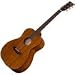 Breedlove Passport OM/Mme Guitar