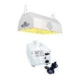 1000 Watt MH Daystar Economy System by 