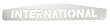 Mud Flap Chrome Bottom Plate Pair International Cutout