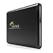 Rebit Saveme Automatic Backup and Recovery Appliance with Password Protection: Portable 250GB for Multi PC