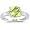 0.04 Ct Diamond & 2.04 Cts Peridot Ring in 14K White Gold-3.0