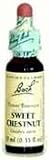 Bach - Flower Essence Sweet Chestnut - 20 ml
