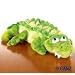 Webkinz Plush Stuffed Animal Crocodile
