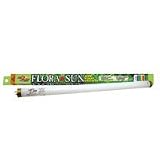 Flora Plant Bulb, 24