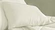 MARRIKAS 300TC Egyptian Cotton PillowCase Pair (2) STANDARD SOLID IVORY