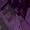 Lilac Mix