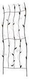 AUSTRAM 72 Gold Splash Windsong Trellis