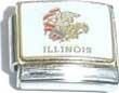 Clearly Charming Illinois State Flag Italian Charm Bracelet Link