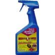 Bayer Crop #700250A 24OZ MP Insectkiller
