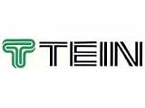 Tein Racing Decal Sticker(New) Green/black