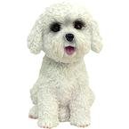 Bichon Frise Bobble Head