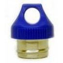 Stainless Steel Drinking Bottle Loop Cap