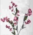 Baby Breath Stem-Mauve