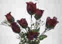 Dew Drop Rose Bud Bush-Burgundy